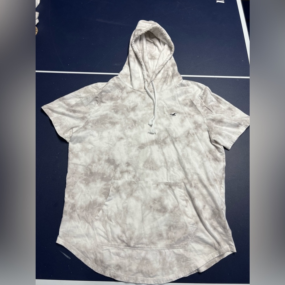 Hollister Must Have Collection Mens XL Hooded Tee